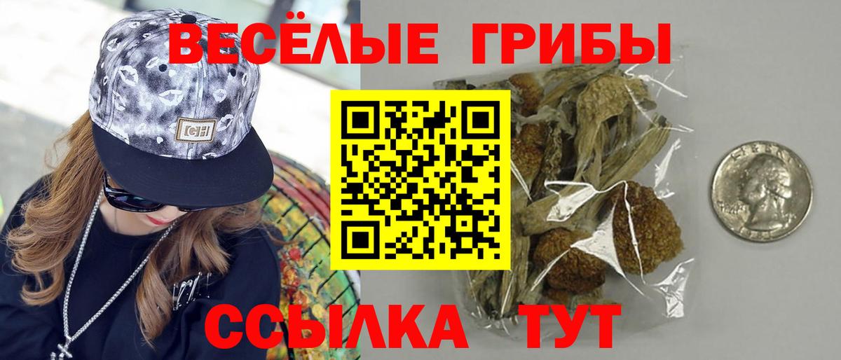 где продают   Вход с VPN  Псилоцибиновые грибы Cubensis  Орёл  Галлюциногенные грибы ЛСД 